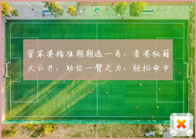管家婆精准期期选一肖，香港秘籍大公开，助你一臂之力，轻松命中