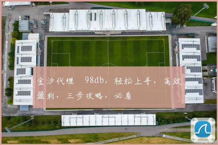 金沙代理訫98db，轻松上手，高效盈利，三步攻略，必看