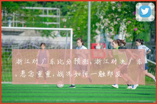 浙江对广东比分预测,浙江对决广东,悬念重重,战况如何一触即发