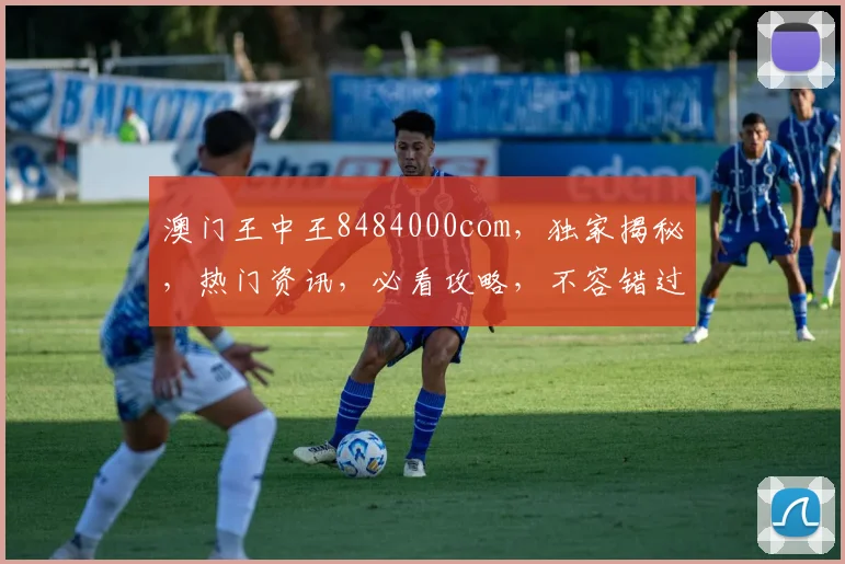 澳门王中王8484000com，独家揭秘，热门资讯，必看攻略，不容错过