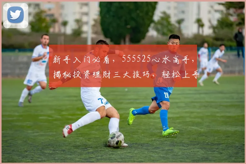 新手入门必看，555525心水高手，揭秘投资理财三大技巧，轻松上手