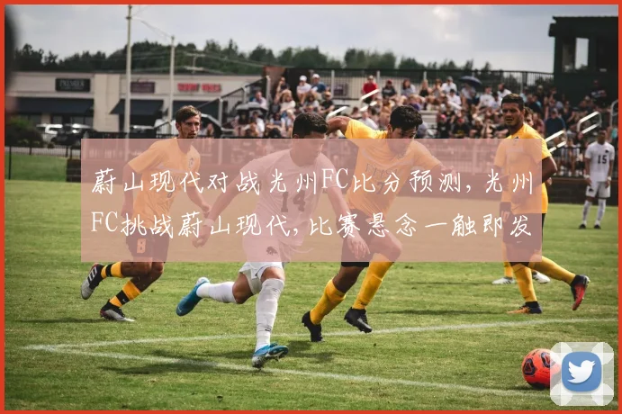 蔚山现代对战光州FC比分预测,光州FC挑战蔚山现代,比赛悬念一触即发,谁将夺冠