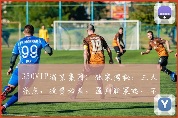 350VIP浦京集团：独家揭秘，三大亮点，投资必看，盈利新策略，不容错过