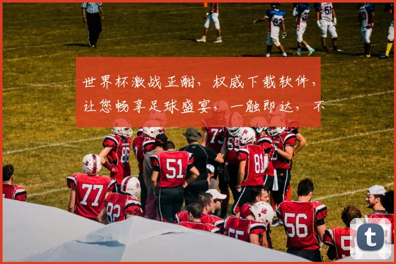 世界杯激战正酣，权威下载软件，让您畅享足球盛宴，一触即达，不容错过